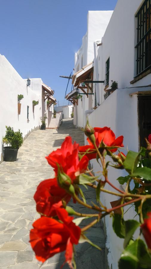 Casas El Molino Villa Vejer de la Frontera Kültér fotó